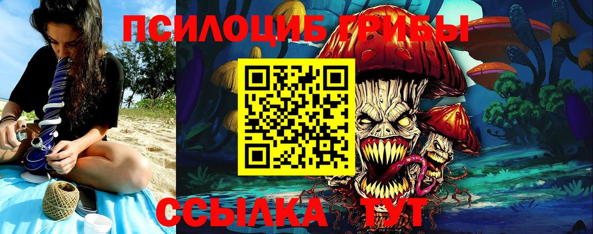 Энгельс  Галлюциногенные грибы ЛСД  Вход с VPN 