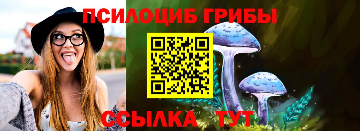 Псилоцибиновые грибы Psilocybe Энгельс