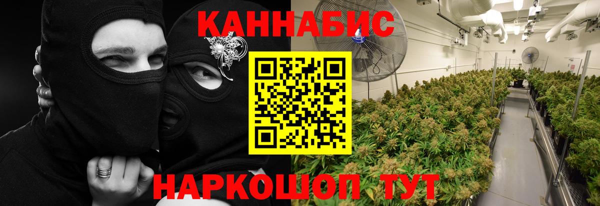 Энгельс  Бошки Шишки марихуана  МАРИХУАНА THC 21%  Канабис VHQ  Вход с VPN  МАРИХУАНА планчик 